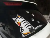 Наклейки на авто в Волгограде