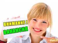 Ищу менеджера