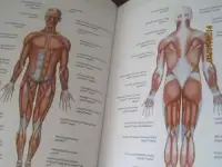 Учебники итальянского языка для вузов искусств 295 страниц на белой хорошей бумаге в твёрдом, фотография 7