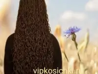Африканские косички, Зизи, Пони..., фотография 6