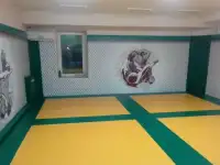 Борцовский ковер, стеновые протекторы, маты..., фотография 4