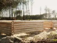 Сруб бани, дома ЛИПА