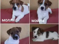 Продажа