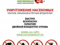 Уничтожение,клопов,тараканов,муравьев, фотография 8