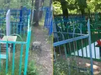 Уход за могилами