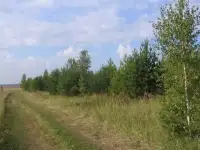 распродажа земельных участков, Челябинский тракт