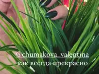 Маникюр,Педикюр,Наращивание., фотография 2