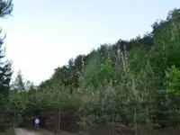 Продаю земельный участок