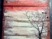 Картины на досках, фотография 2