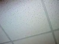 Потолок Армстронг