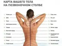 Акупунктурный электромассажер, фотография 4