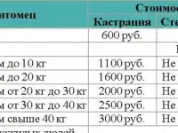 Кастрация и стерилизация собак и кошек, фотография 3
