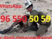 Туризм в Кыргызстане, путешествия, горы, трэки в Киргизии, гид, водитель, туры, фотография 5