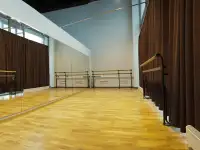 Шторы для танцевальных залов и хореографических классов