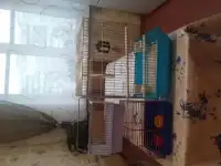 Отдам даром, фотография 5