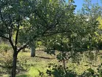Продам земельный земельный участок