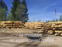 Участок в тихой деревне. Новорижское шоссе, Ржевский р-он, речка, лес. Поблизости срубы.