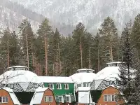 Похудеть и очистить организм