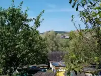 Мед