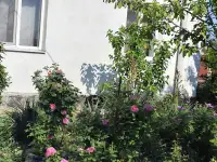Продам свой дом, Кировский район село Красновка улица садовая 4