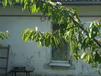 Продается 3-х комнатная квартира в доме на два хозяина, 1 эт., г., ул. Гагарина, 5/1, фотография 5