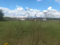 Продаю, Солуно дмитриевское 37,00 м2, фотография 7