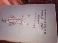 История тома Джонса найдёныша