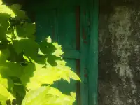Продам дом, Пос Восточный 96,00 м2, фотография 8