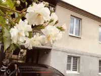 Сдаю комнаты отдыхающим, Сухум