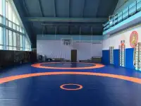 Борцовский ковер, стеновые протекторы, маты..., фотография 3