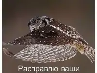 Массаж от профессионального врача