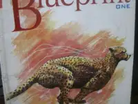 1962  Детская Книга  на немецком языке для дошкольного возраста картонные  2 листа 4 страницы, фотография 10