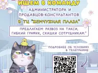 Продавец-консультант