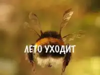 Требуется разнорабочи ремонт различные работы