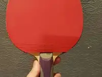 Ракетка для настольного тенниса(Donic)+Чехол(Butterfly)