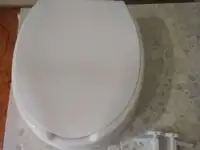 Туалетная насадка