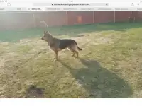 Кабель для вязки