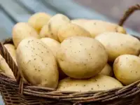 Продам картофель оптом