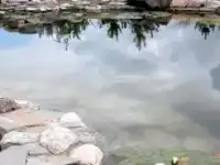 Интернет-магазин оборудования и аксессуаров для водоёмов в Самаре, фотография 4