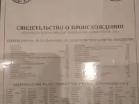Продам щенков породы немецкой овчарки.