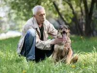 Чудесная собака Мила ищет семью., фотография 3