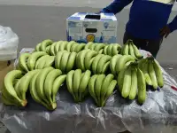 Бананы свежие для Азии