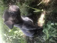 Чудо малыш, фотография 3