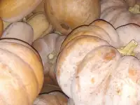 Тыква мускат де прованс 1 кг, фотография 2