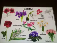 Развивающие плакаты, фотография 4