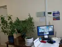 Требуется консьержка