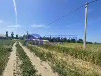 Продам участок в ст. Старотитаровской 15 соток, фасад 20 м., фотография 5