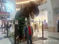 Курьер пеший, фотография 2