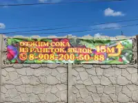 Из ваших фруктов отожму сок
