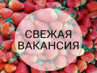 Срочно повар, ученик повара
